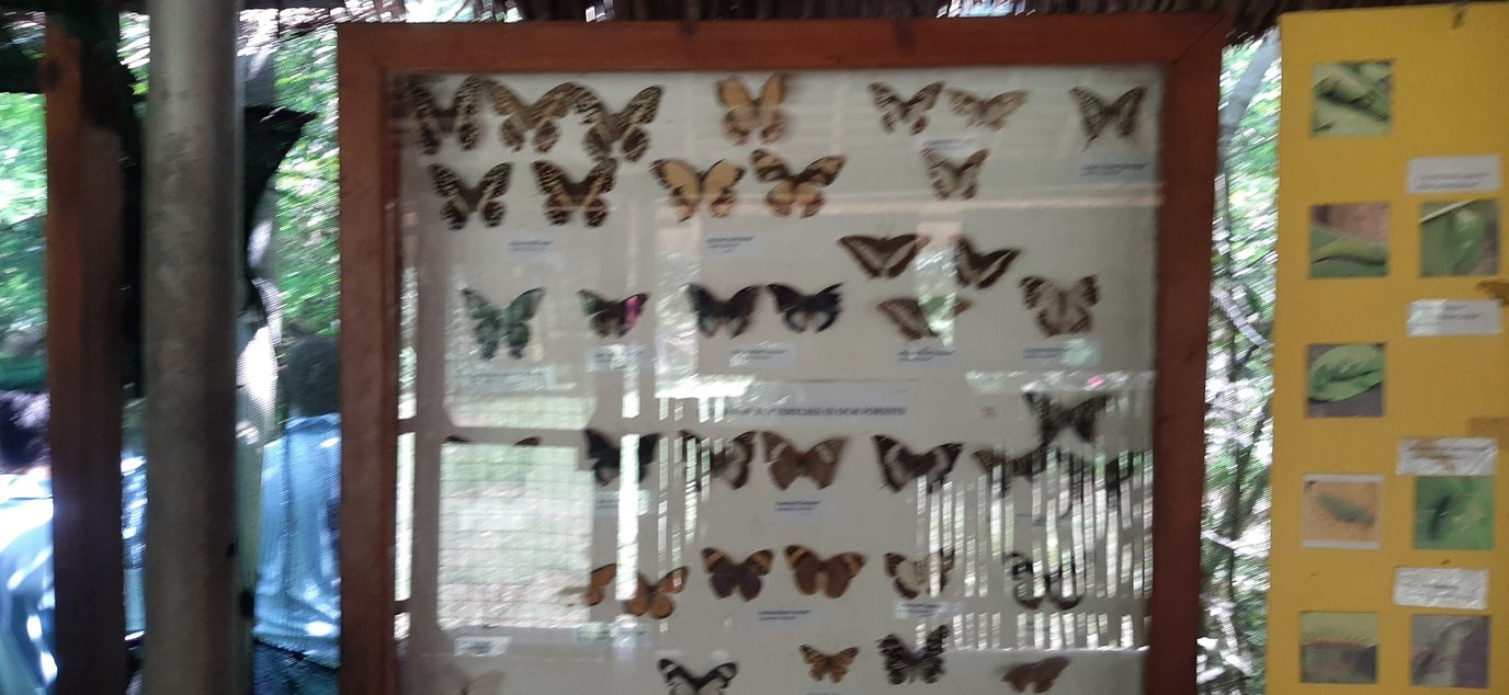 20220518_105710.jpg