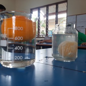 20230207_103926.jpg