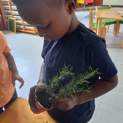 Plant Life with FS1 Learners