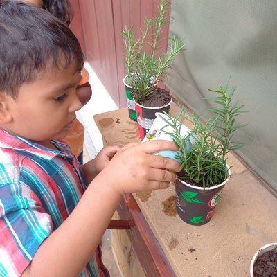 Plant Life with FS1 Learners