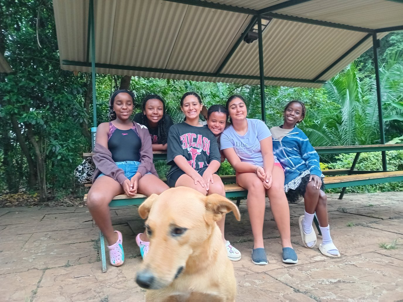 Sagana Trip Y7