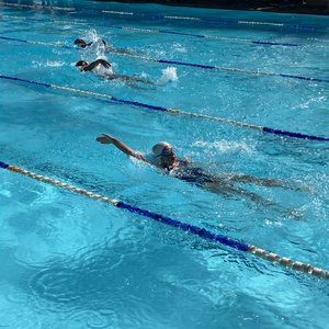 Copy of IMG_0198.JPG