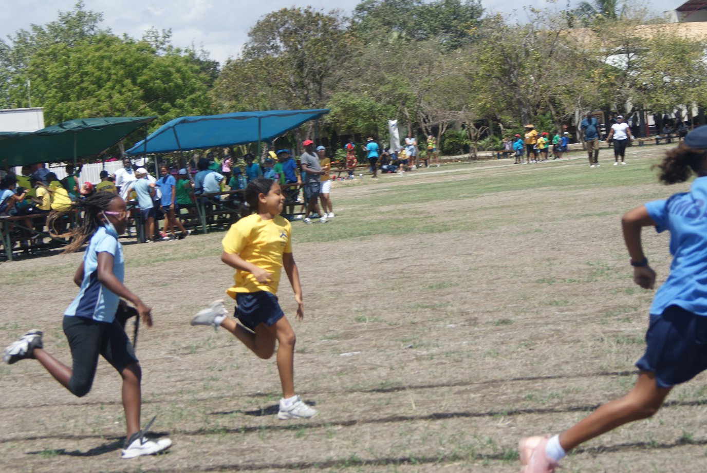 DSC00460.JPG