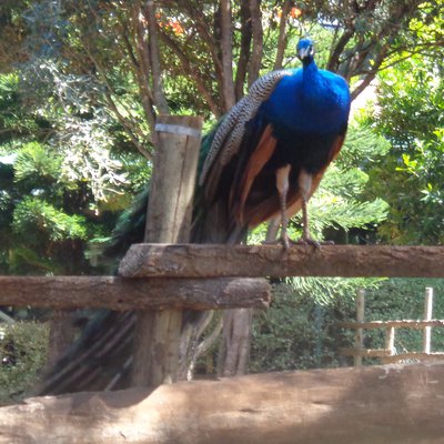 DSC08328 (2).JPG