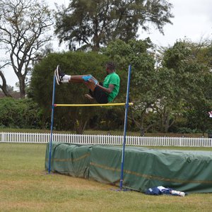 Sports Festival