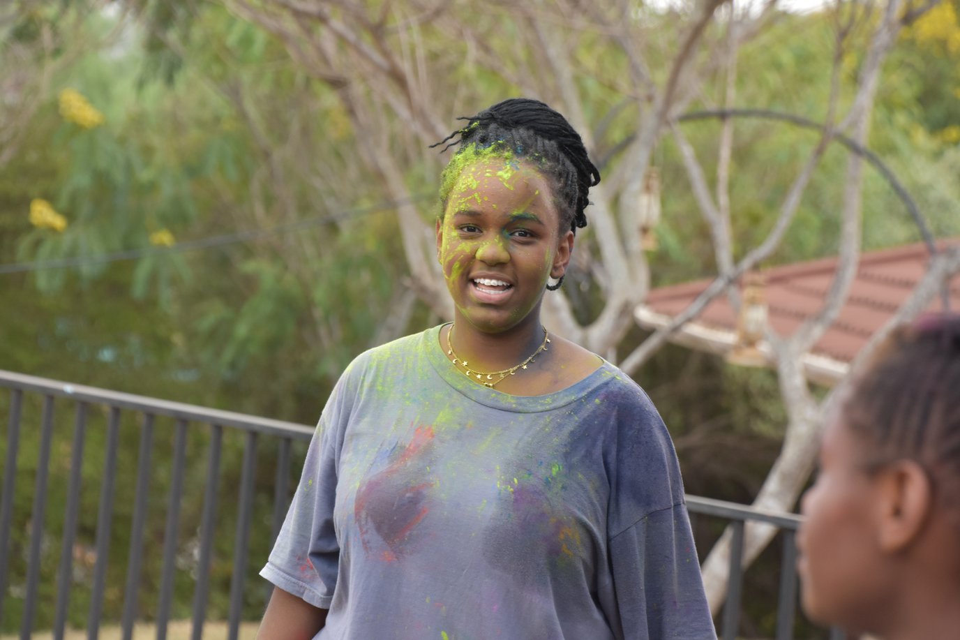 Colour Festival