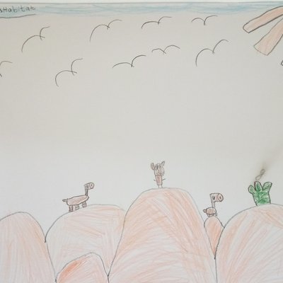 Desert Habitat.jpg