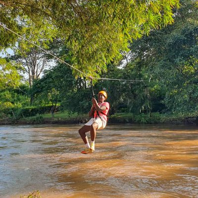 Sagana Trip Y7