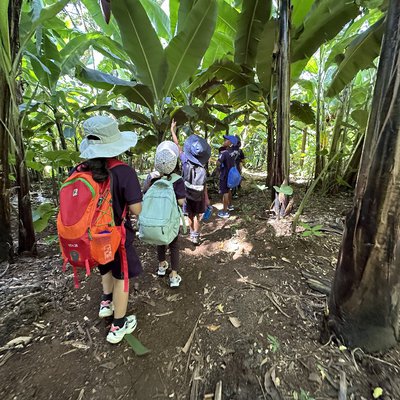 Machame trip-01.jpg