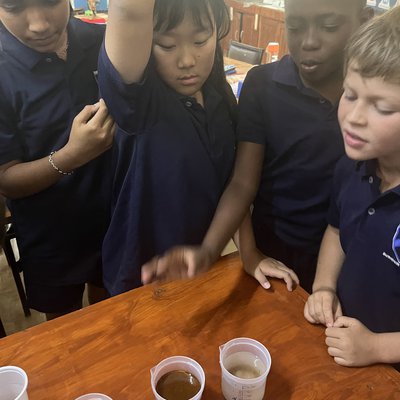 IMG_1010.jpg
