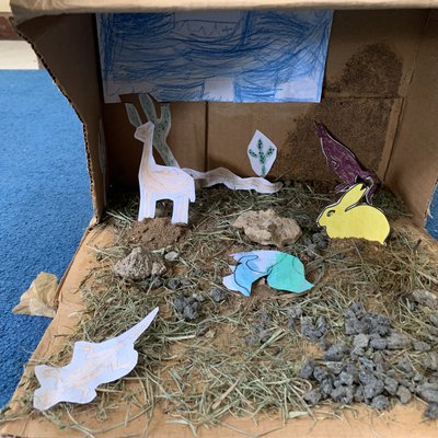 Dioramas-01.jpg