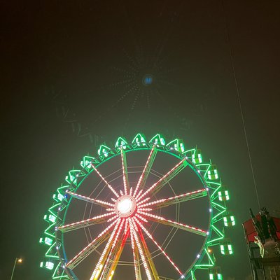 IMG_2593.jpg