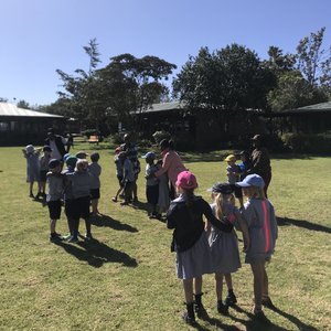 IMG_3077.jpeg