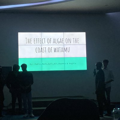 IMG_8505.JPG