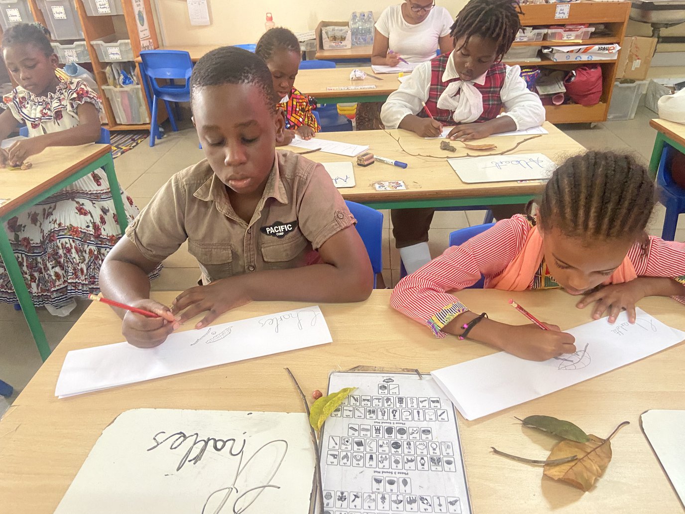 IMG_8584.jpg