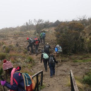 Kili