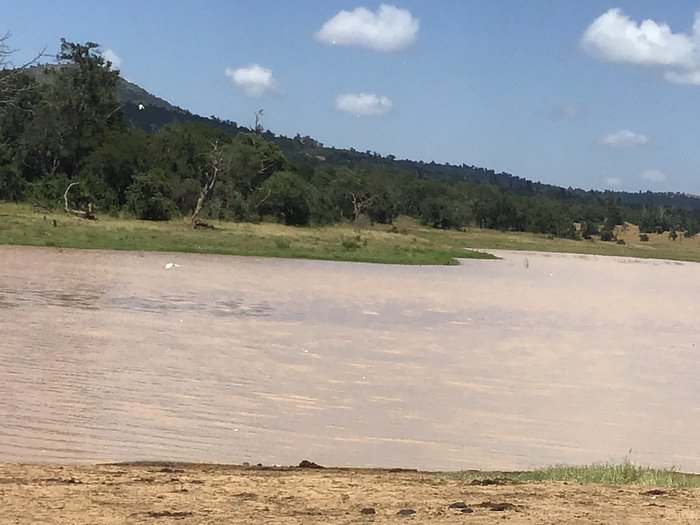 Lake.JPG