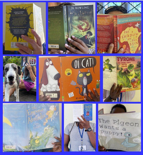 Mystery Reader.jpg