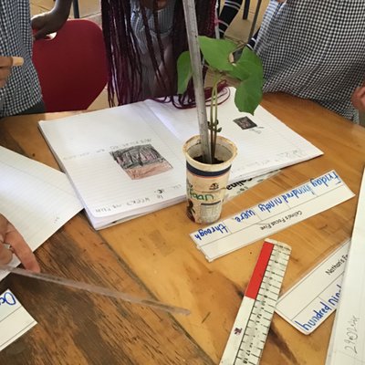 Plant Diary.jpeg