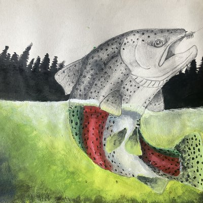 Rainbow Trout.JPG