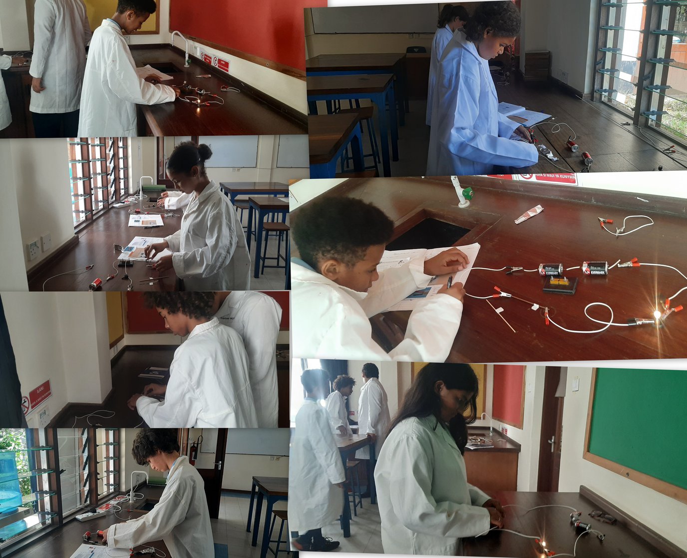 Science w11.jpg