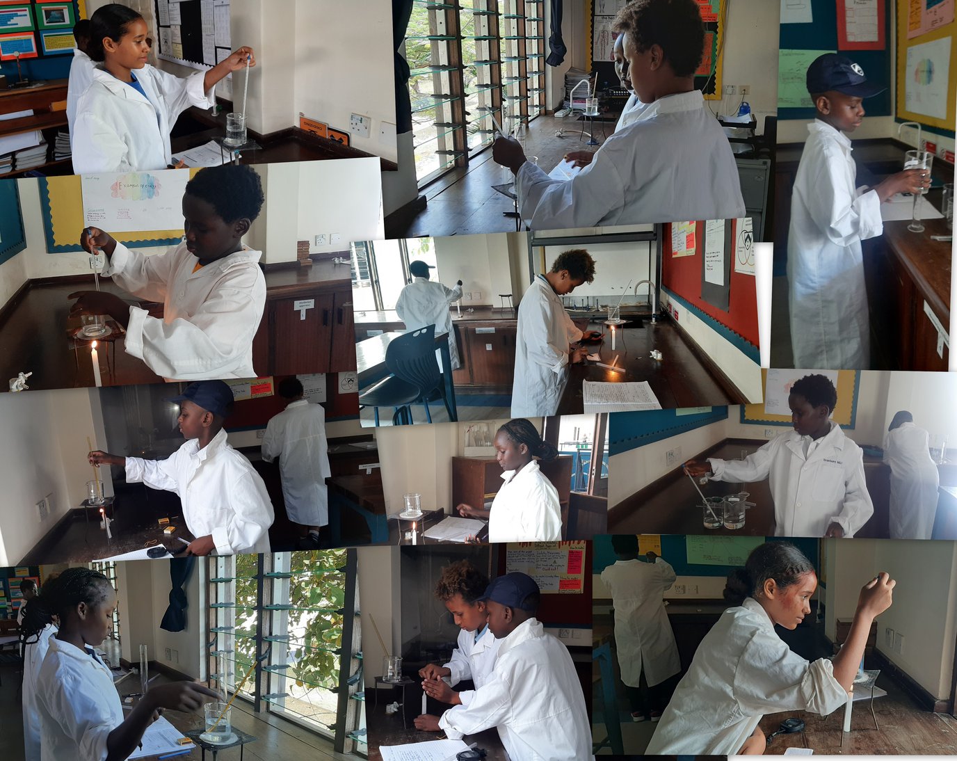 Science w12 y7.jpg