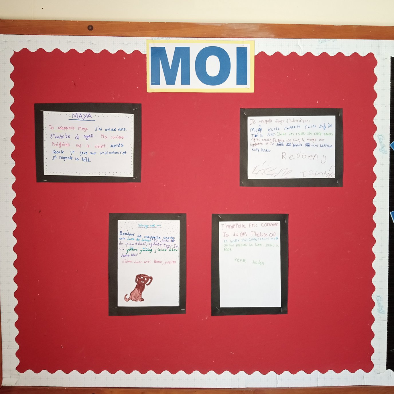 Y5(1).jpg