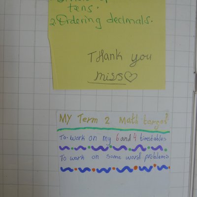 Y5 (3).JPG