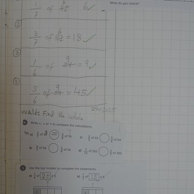 Y5 (4).JPG