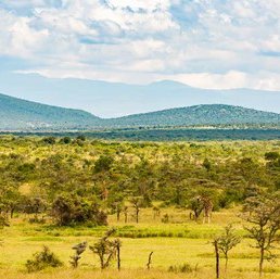 colour-photograph-vast-wild-kenyan-260nw-1479652025.jpg