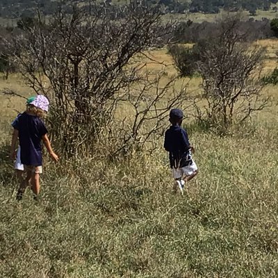 enjoying nature.JPG