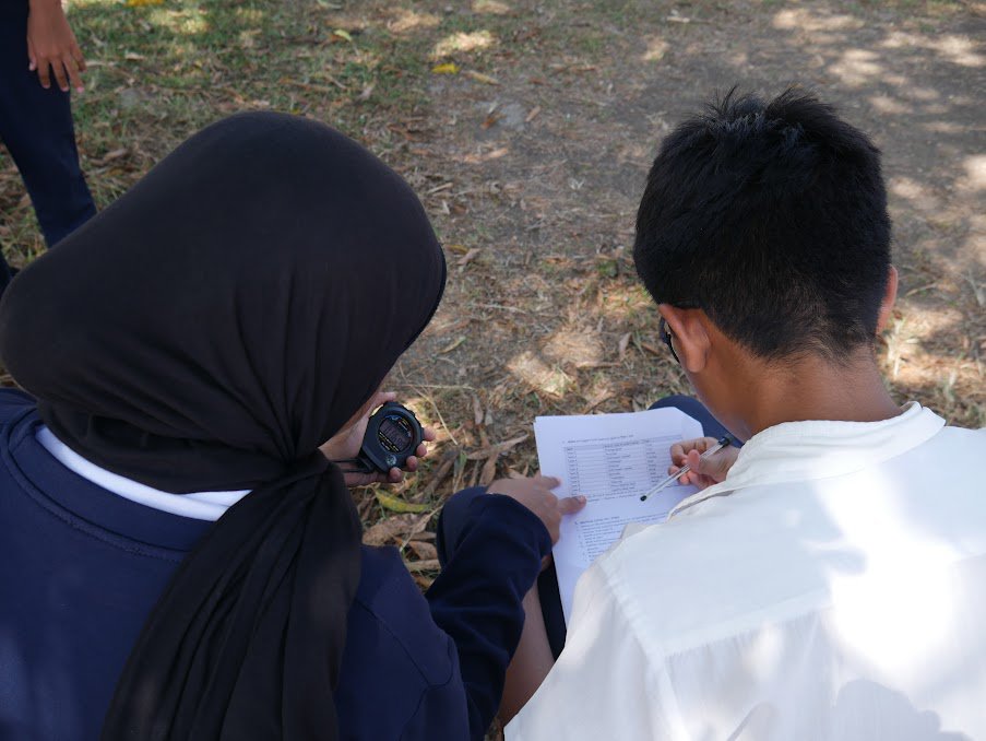 fieldwork 1.jpg