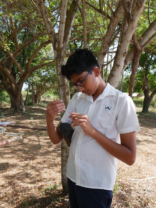 fieldwork 3.jpg