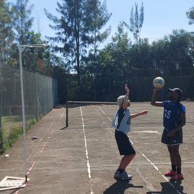 netball.jpg