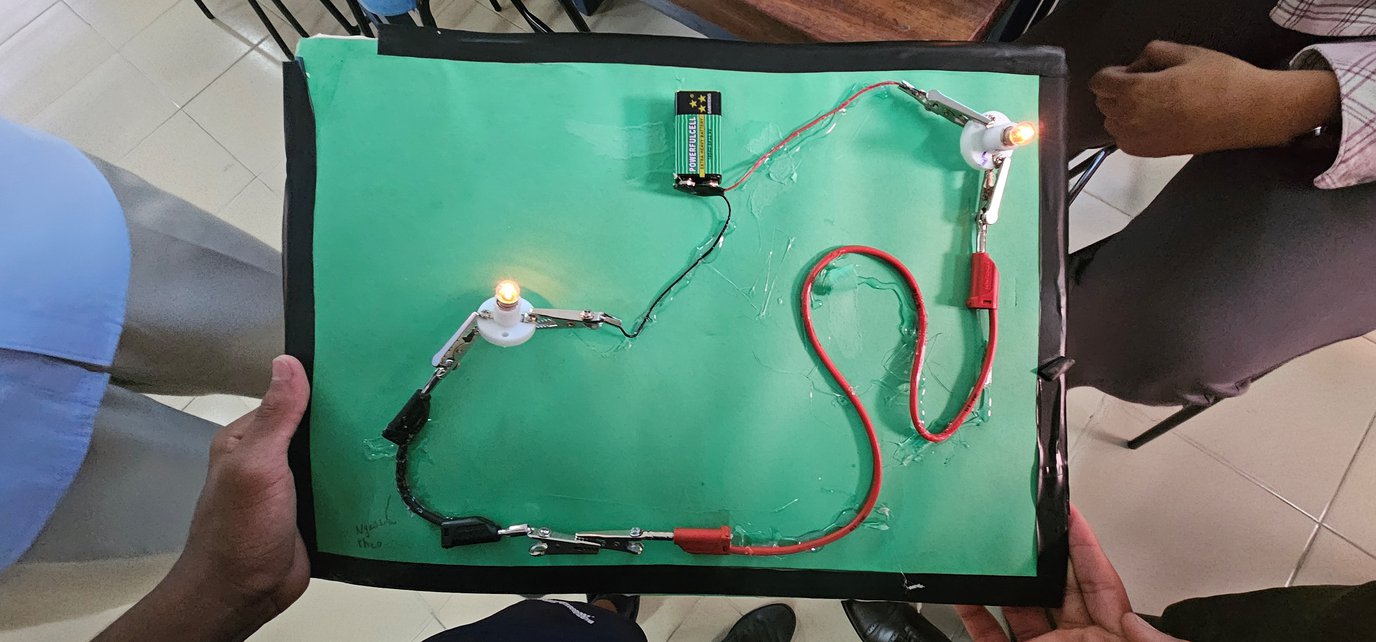 stem4.jpg