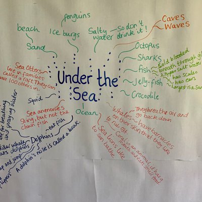 under the sea.jpg