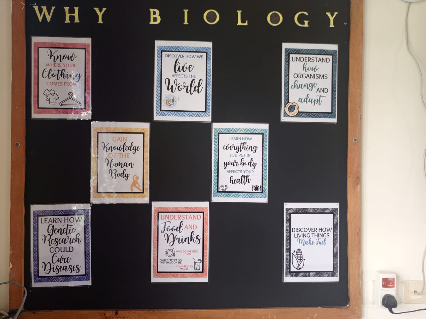 why biology.jpg